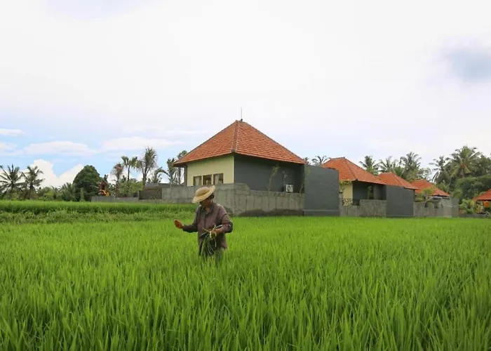 Asri Sari * Ubud